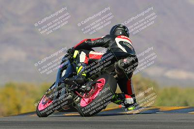 media/Feb-04-2023-SoCal Trackdays (Sat) [[8a776bf2c3]]/Turn 9 Backside (145pm)/